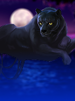 Panther Moon