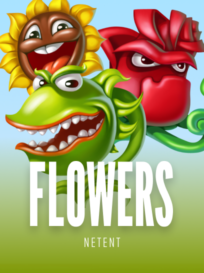 Flowers Christmas