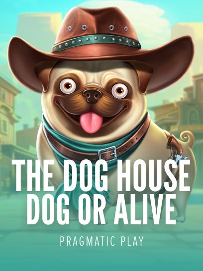 The Dog House - Dog or Alive