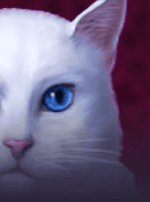 Diamond Cats