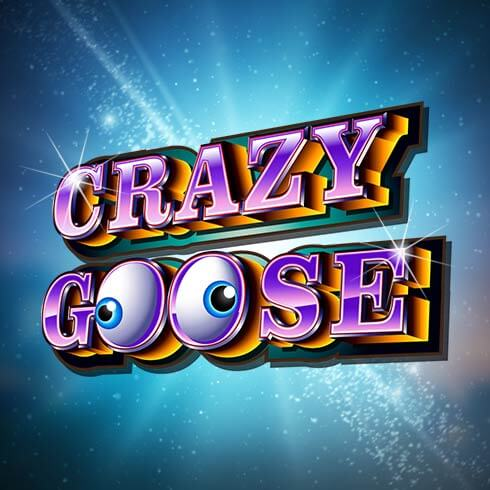 Crazy Goose