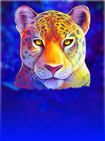 Jaguar Gold