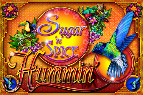 Sugar N Spice Hummin