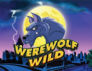 Werewolf Wild